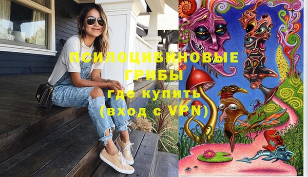 дурь Алексеевка