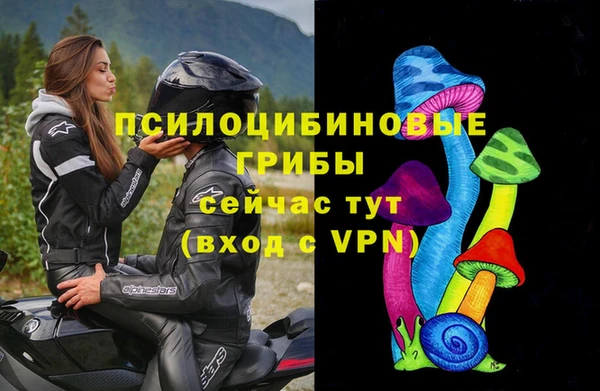 сатива Алзамай