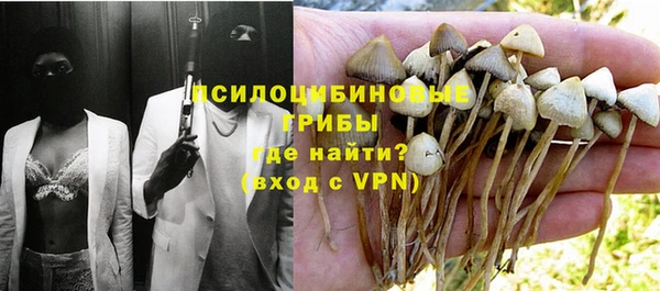 сатива Алзамай