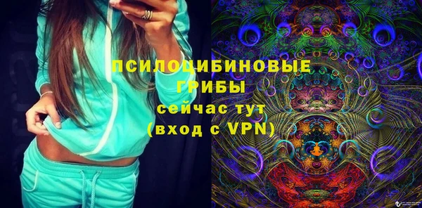 дурь Алексеевка